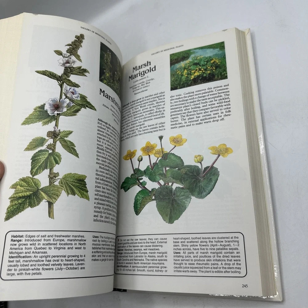 Magic and Medicine of Plants by Reader's Digest Editors 1989 Hardcover